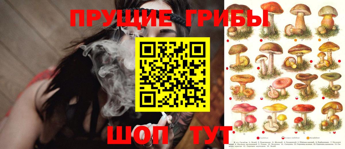 Псилоцибиновые грибы MAGIC MUSHROOMS  Вход с VPN  Псилоцибиновые грибы мухоморы  продажа наркотиков  Ковров 